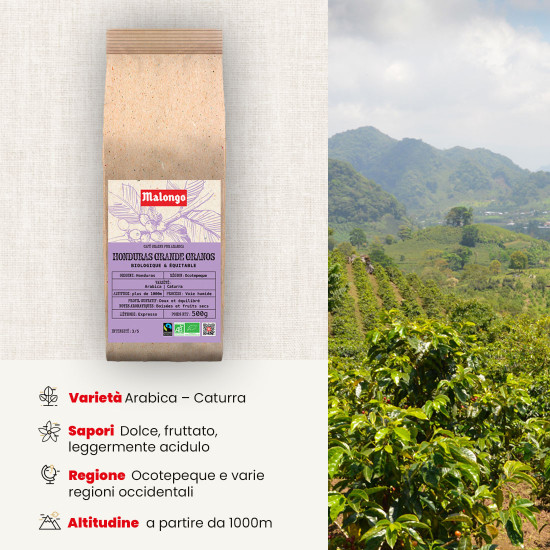 Caffè in grani Honduras