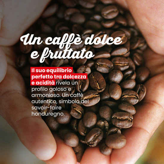 Caffè in grani Honduras