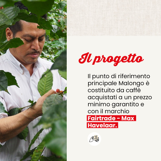 Caffè in grani Petits Producteurs originale
