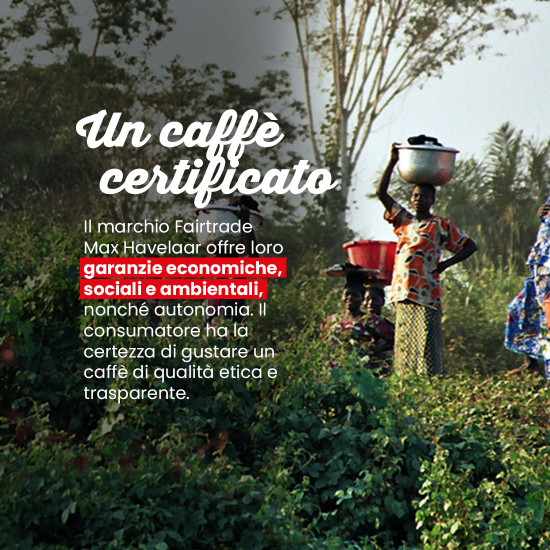 Caffè in grani Petits Producteurs originale