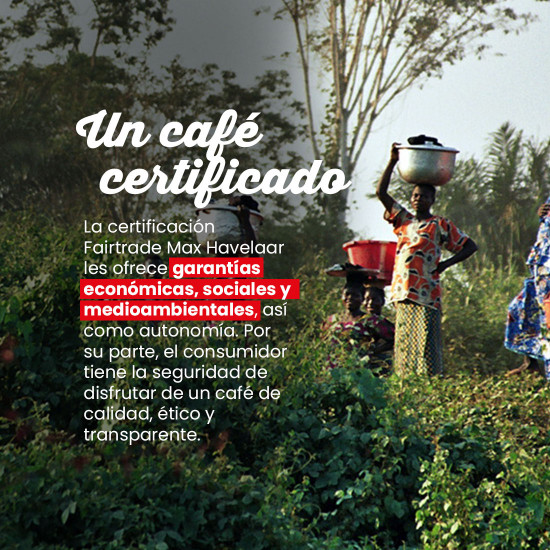 Monodosis Café des Petits Producteurs