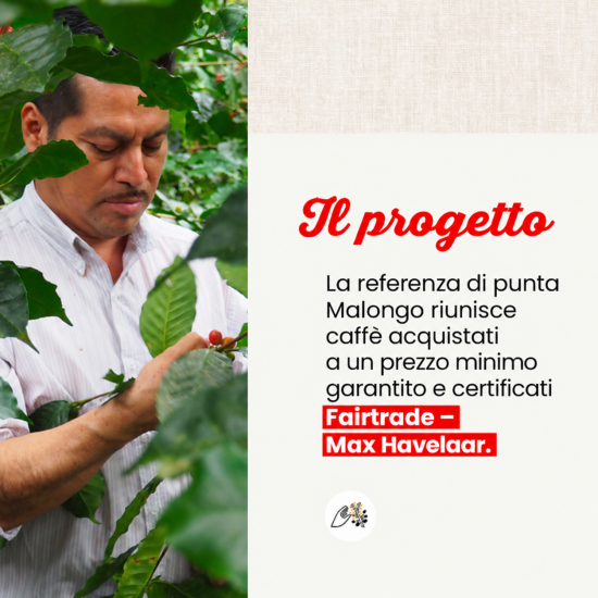 Cialde Café des Petits Producteurs XXL