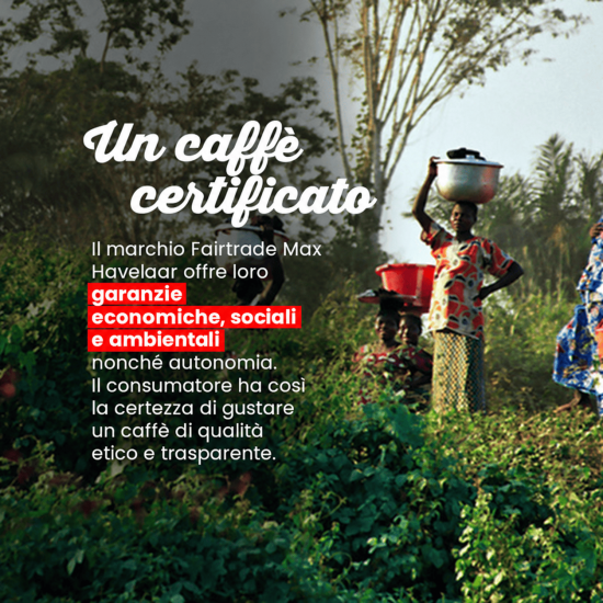 Cialde Café des Petits Producteurs XXL