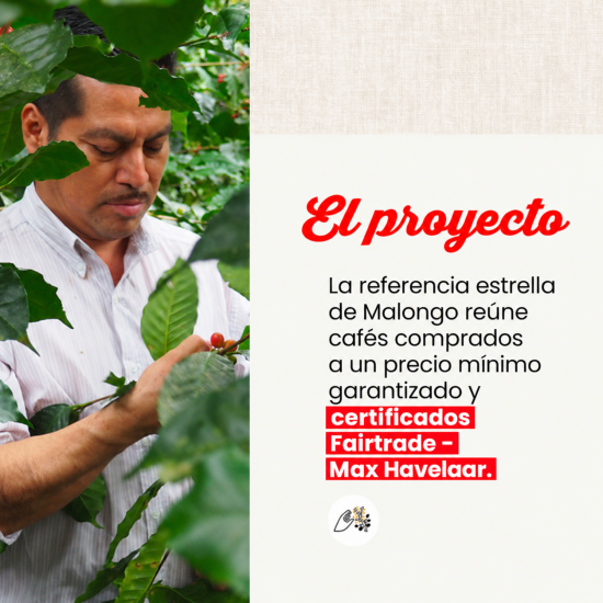 Café molido Petits Producteurs - La intensidad