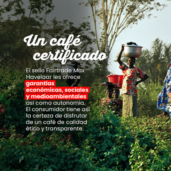 Café molido Petits Producteurs - La intensidad