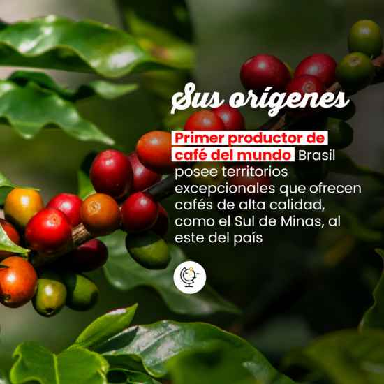 Café en grano Brasil