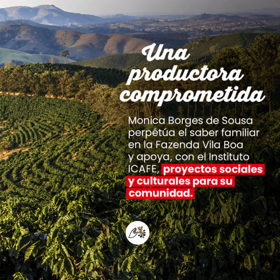 Café en grano Brasil Yellow Bourbon