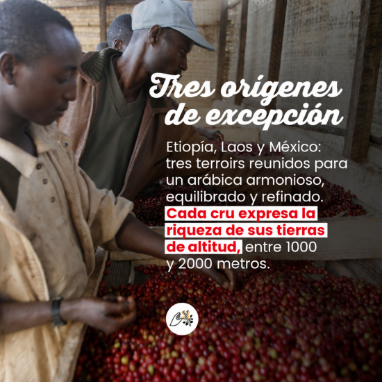 Café en grano Elysee - 480g