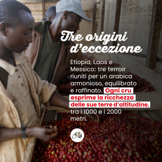 Caffè in grani edizione Elysée - 480g