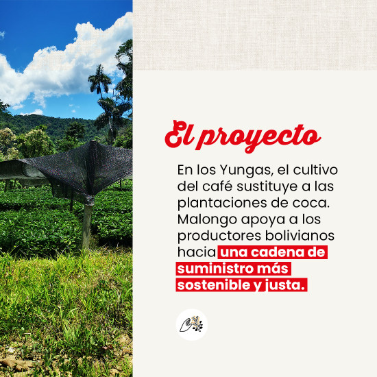 Monodosis Boliva La Asunta