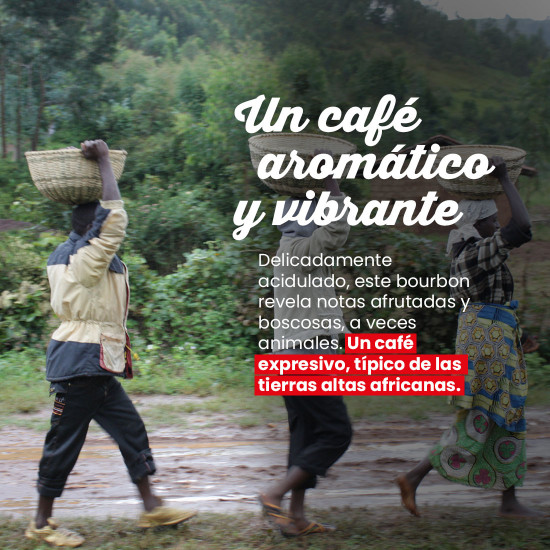 Café molido Burundi Émbolo