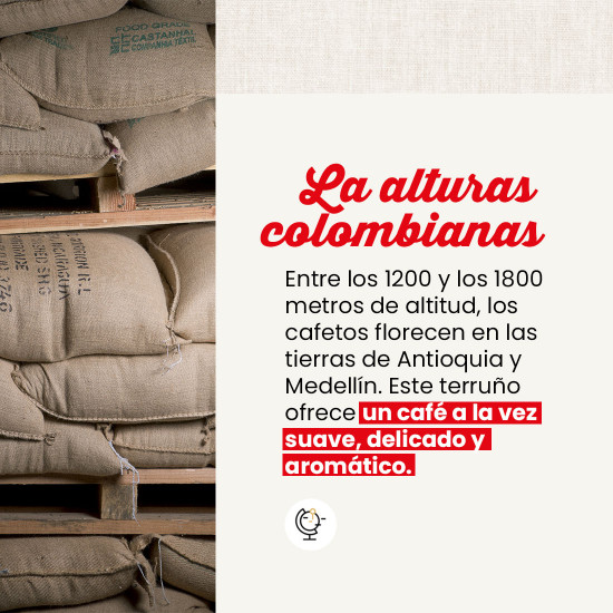 Café molido Colombia IGP