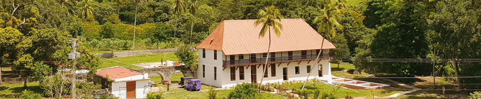 Offre torréfacteur Grains