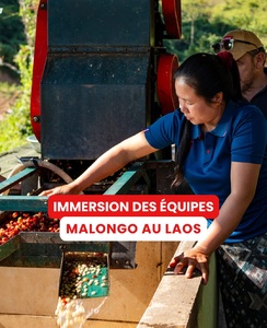 Retour en images sur notre immersion au cœur des plantations de café au Laos 🇱🇦 ☕️ 

Accompagnés par notre chargé de mission en pays producteurs, plusieurs collaborateurs ont rendu visite à l’une de nos coopératives partenaires.