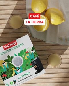 La Tierra : le café parfait pour accompagner les derniers instants de l’été. Vous l’avez déjà goûté ? 🌞⛱️