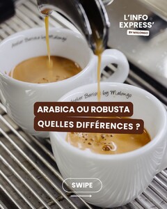 Arabica ou Robusta : on les retrouve partout, mais connaissez-vous vraiment leurs différences ? ☕
