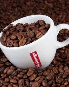 Des grains soigneusement sélectionnés pour une expérience authentique et intense, signée Malongo. ☕
