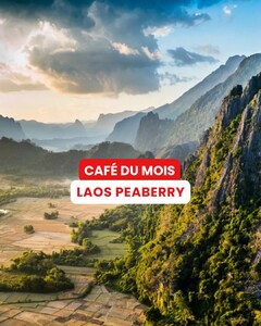 Et si votre prochaine pause café vous emmenait au Laos ? 🇱🇦

Ce mois-ci, découvrez notre Laos Peaberry.

Un café 100 % Arabica pas comme les autres. Le Peaberry ne renferme qu’une seule graine par cerise de café, concentrant ainsi toute la richesse de ses arômes. ☕

Une particularité qui en fait un café aussi surprenant qu’authentique. 

👉 Faites défiler pour découvrir tous les secrets de notre café du mois !