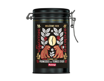 PUSH GAUCHE – MALONGO