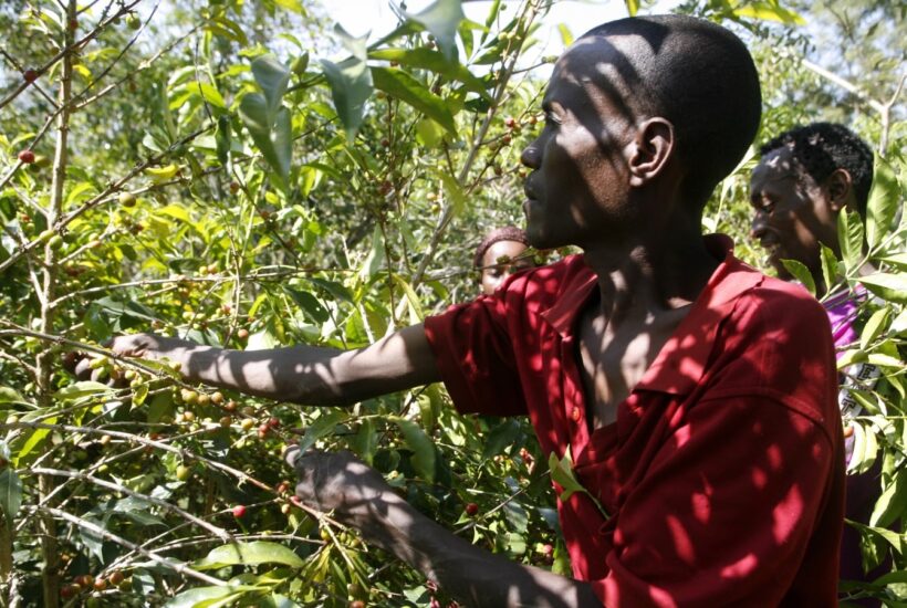 SLIDER ETHIOPIE 1500X900 – V2