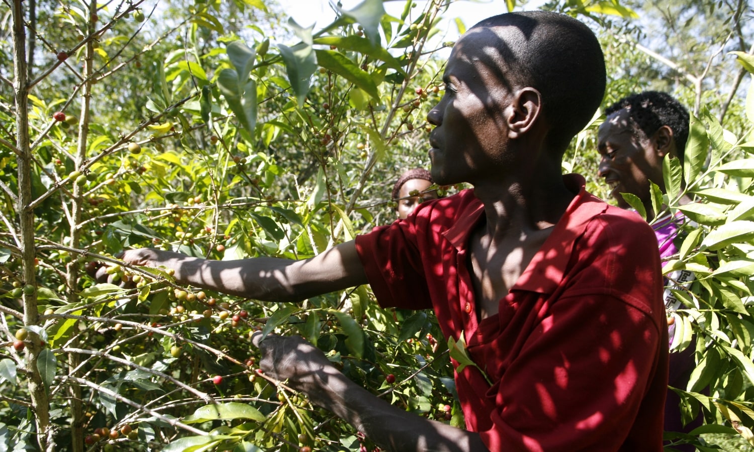 SLIDER ETHIOPIE 1500X900 – V2