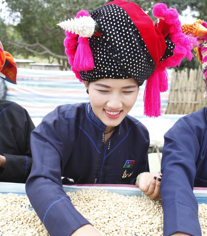 Productrice de café du Myanmar
