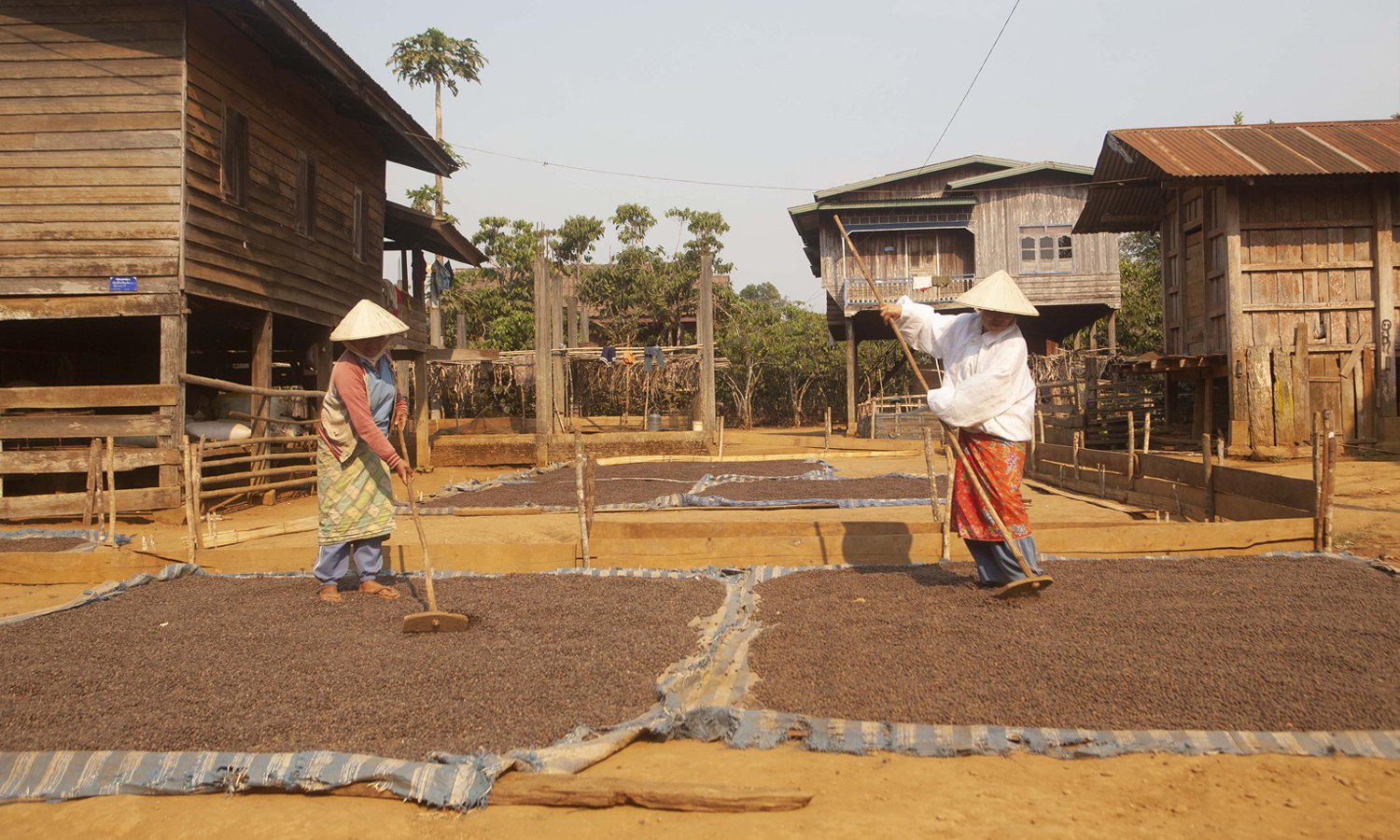 bandeau 2 offre torrefacteur LAOS MAI 2021 1500×900