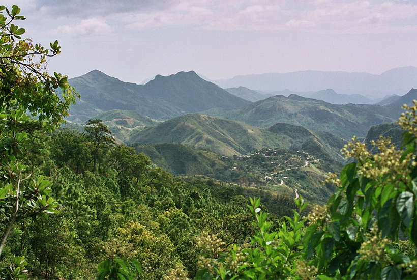 bandeau 2 offre torrefacteur MEXIQUE BIO CE 2020 – push gauche