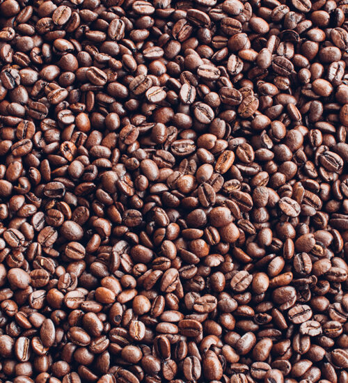 bandeau FOND GRAINS – push gauche