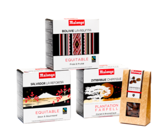 bandeau-PUSH-DROIT-coffret-plantation-NOEL-2025-360×280-V-1