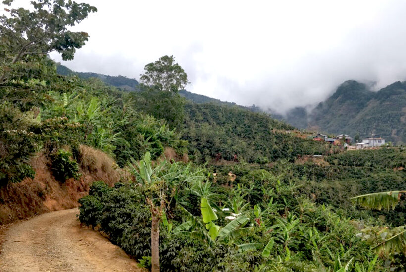 bandeau-SLIDER-ACCUEIL-1500×900-COSTA-RICA-V-1-1 (002)