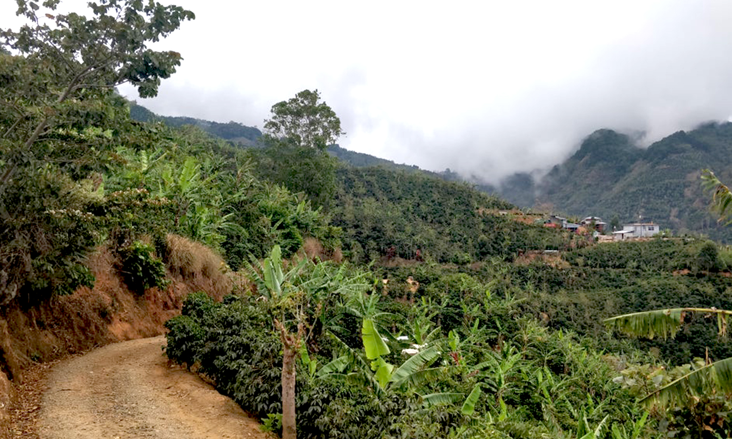 bandeau-SLIDER-ACCUEIL-1500×900-COSTA-RICA-V-1-1 (002)