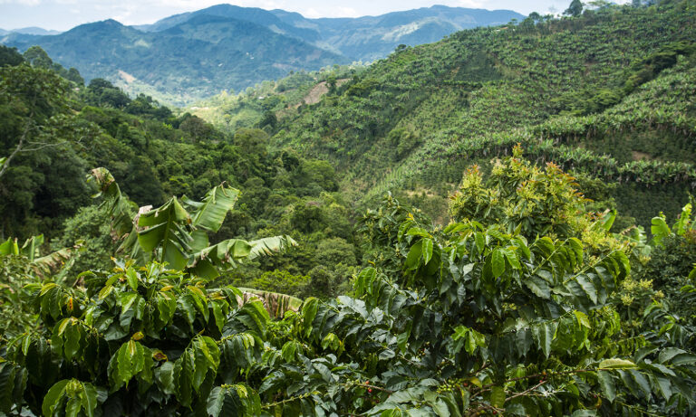 bandeau SLIDER ACCUEIL OCTOBRE 2024 1500×900 V-1