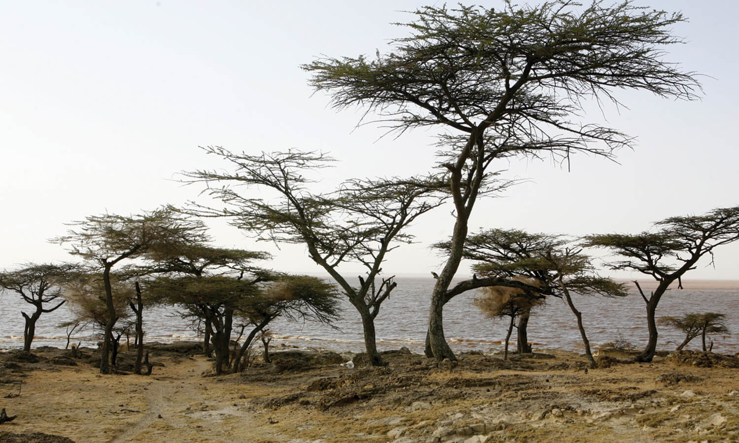 bandeau ethiopie 1500×900