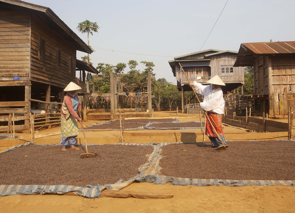 bandeau offre torrefacteur LAOS MAI 2021 1000×723