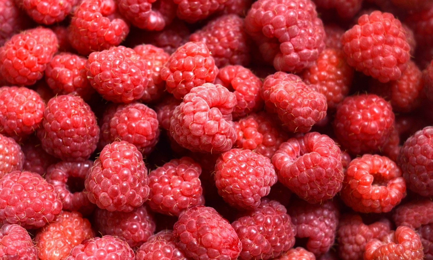 framboise