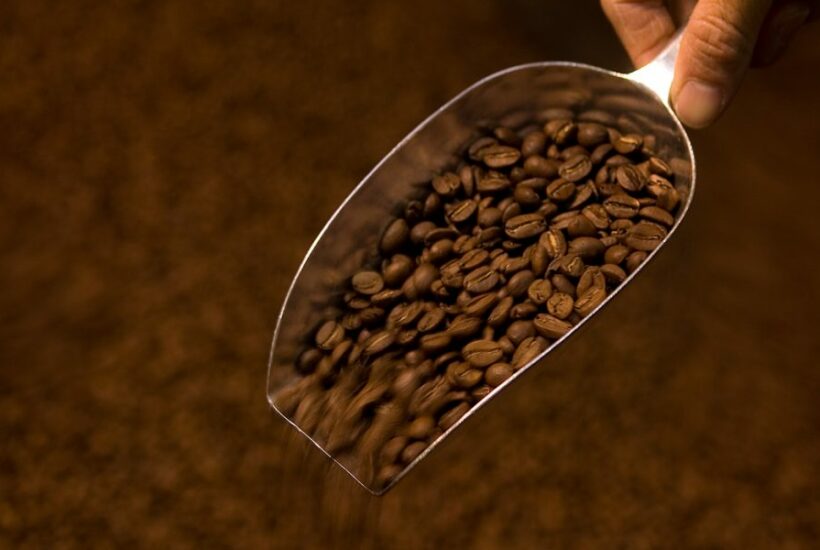 Tout savoir sur le café Malongo