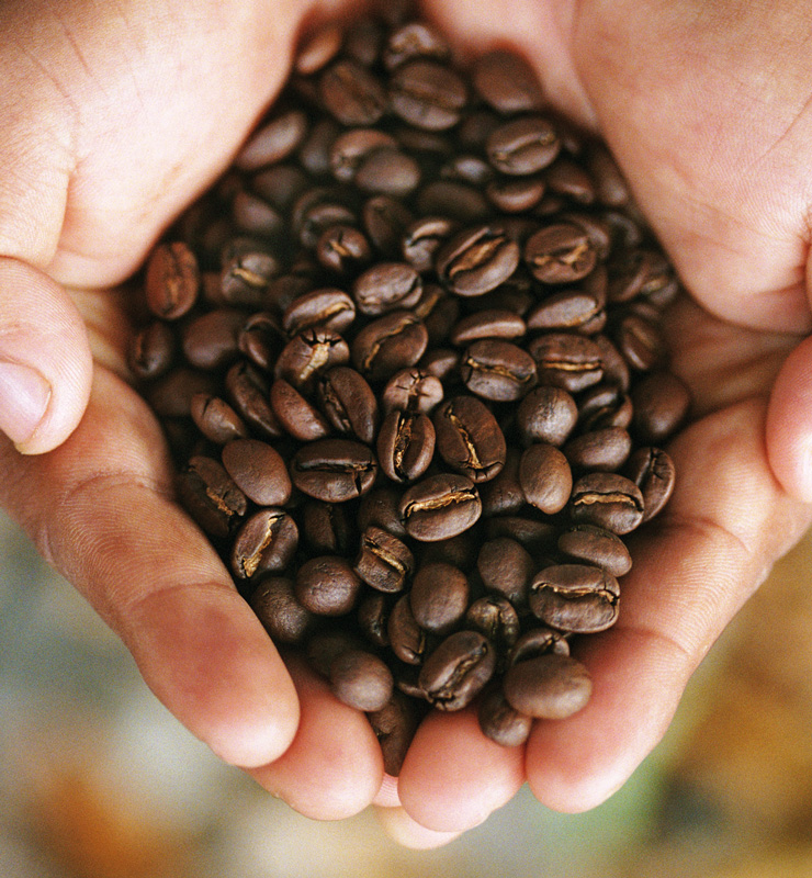 Bac à marc de café : 4 raisons de l'utiliser - Oyo Torréfaction