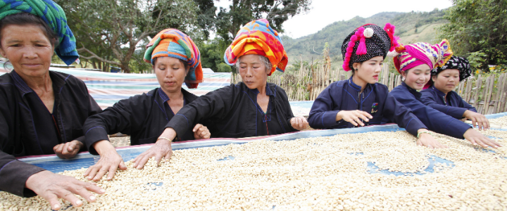 Café du Myanmar