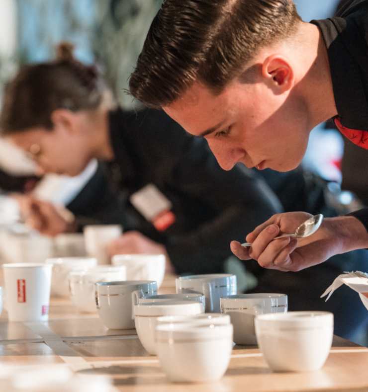 La dégustation du café révèle mille arômes
