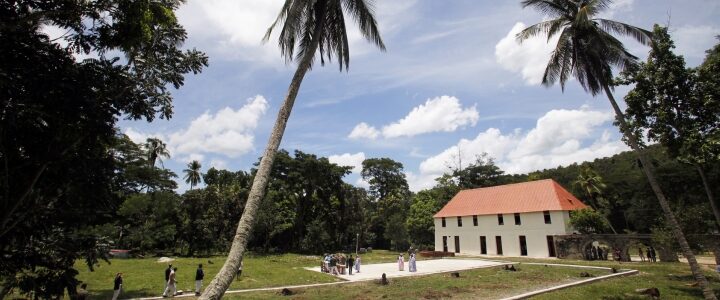 Les projets de la Fondation Malongo