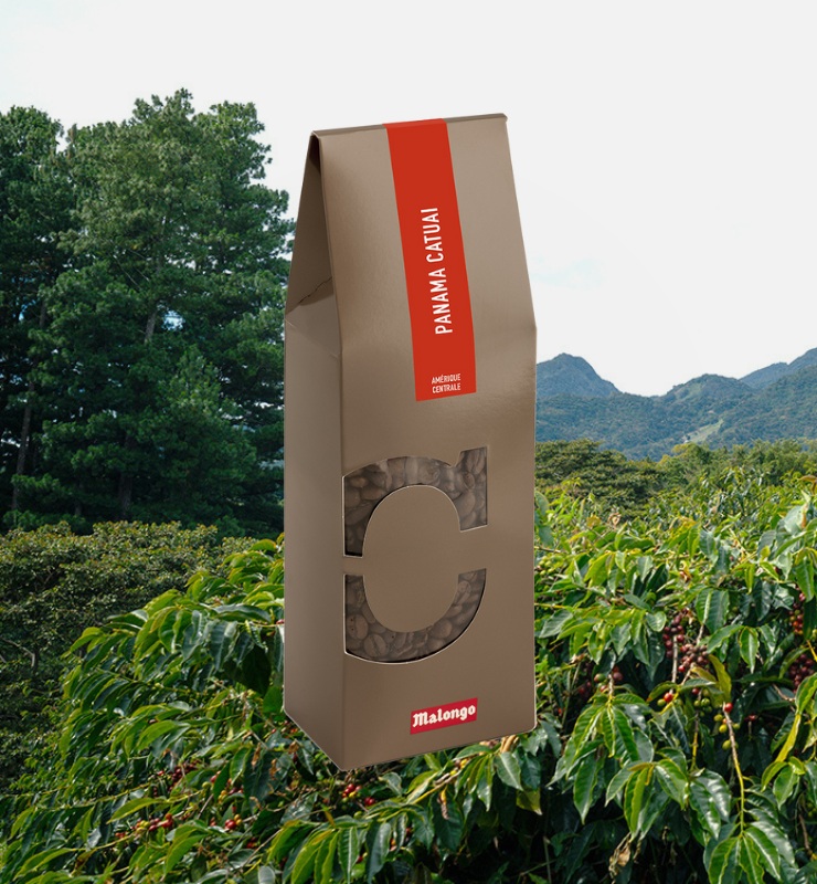 Notre café de spécialité Panama Catuai