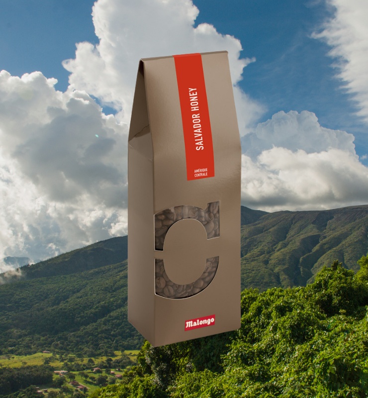 Le café de spécialité Salvador Honey par Malongo