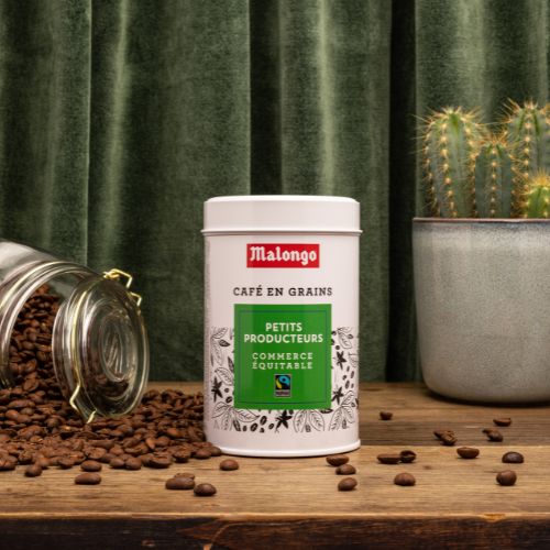 café en grains malongo petit producteur 