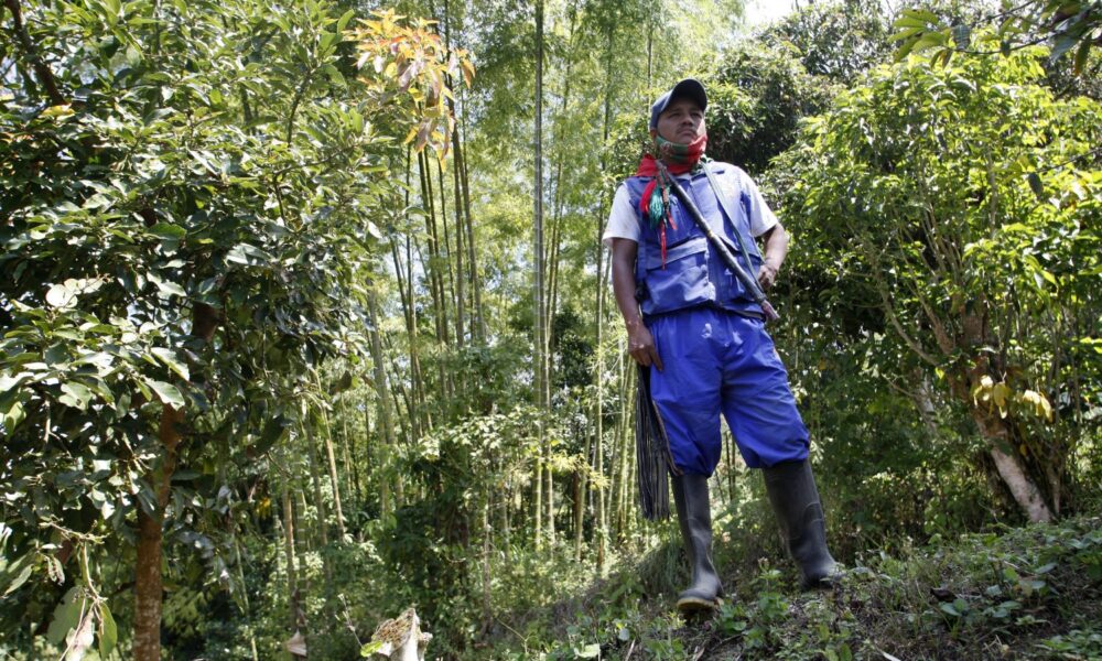 Producteur de café impliqué dans le projet